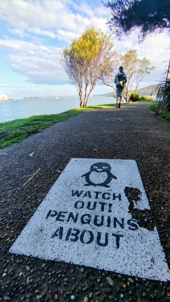 The Poney Tour Australie 2015 20