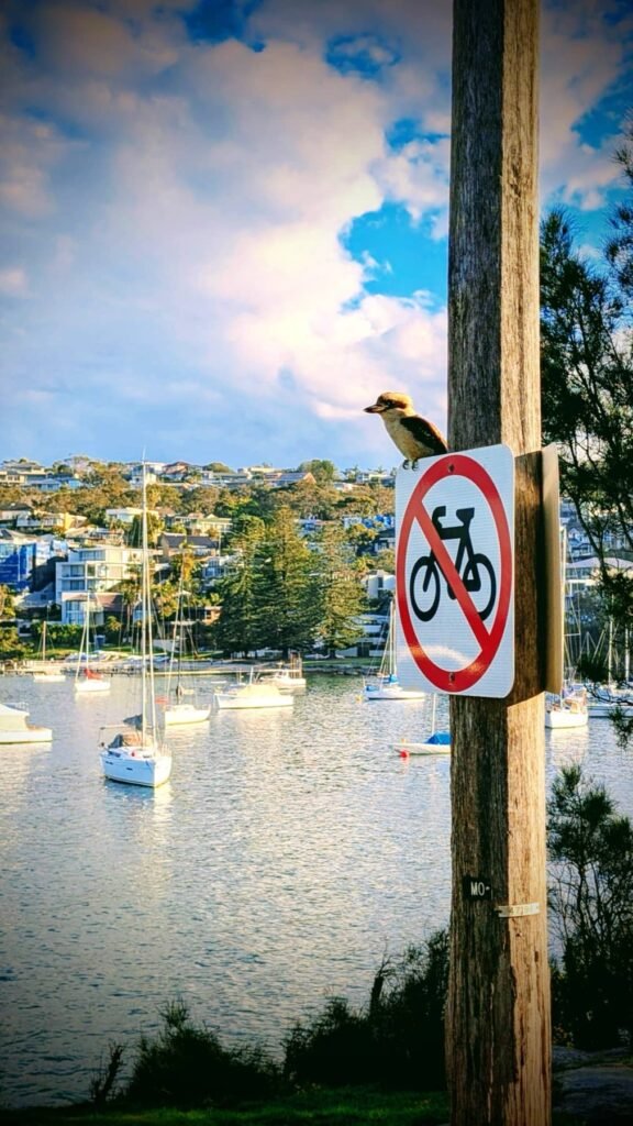 The Poney Tour Australie 2015 21