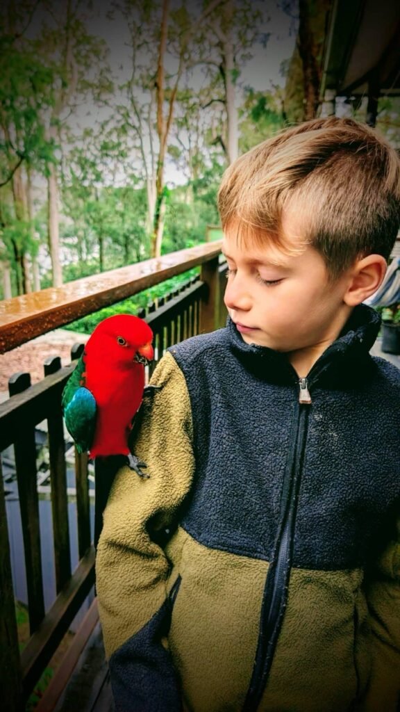 The Poney Tour Australie 2015 36