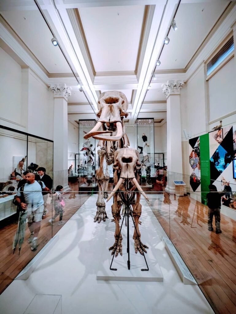 The Poney Tour Australie 2015 57