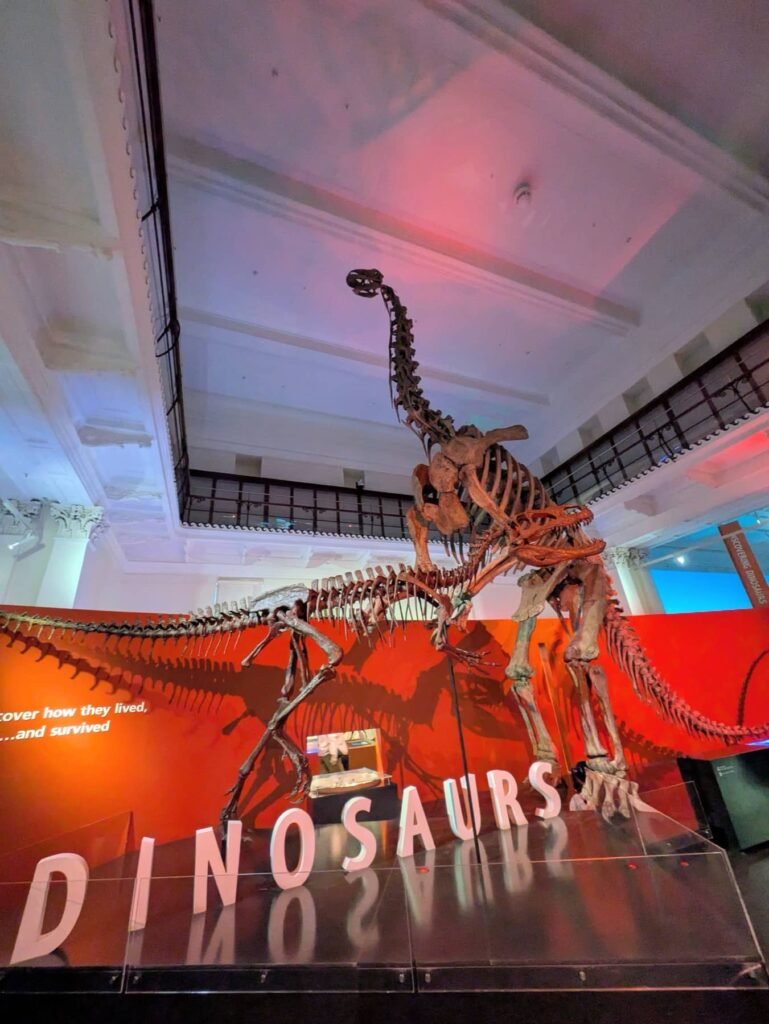 The Poney Tour Australie 2015 58