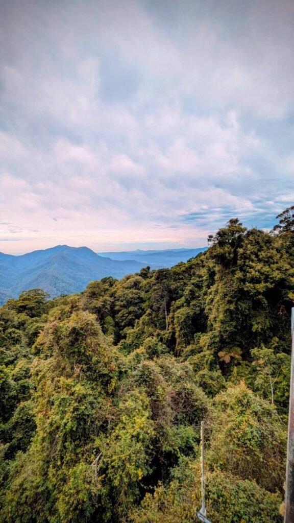 The Poney Tour Australie 2015 90