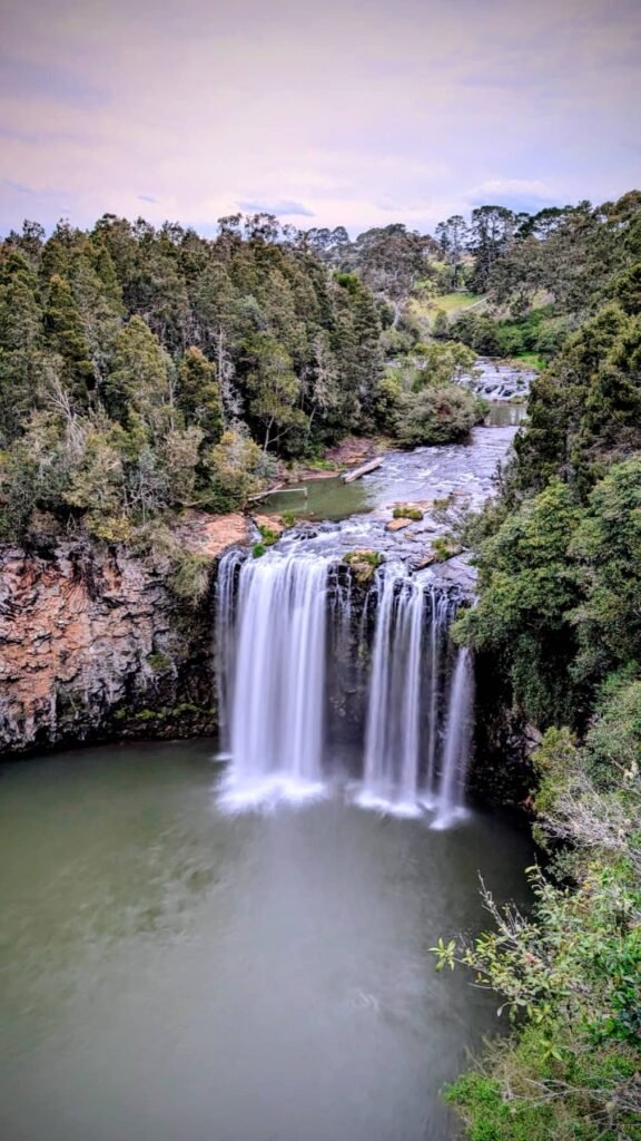 The Poney Tour Australie 2015 91