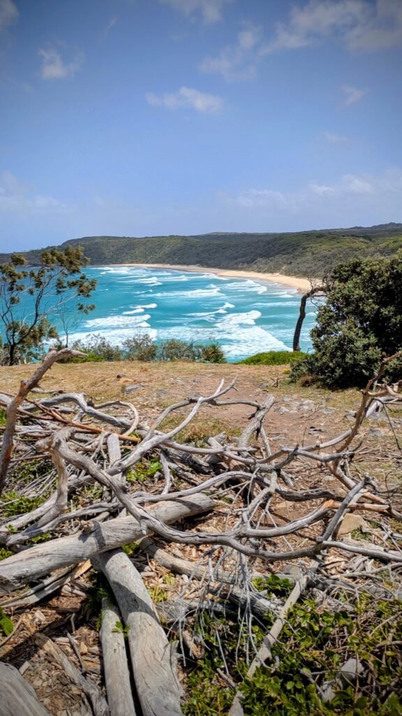 The Poney Tour Australie 2025 193