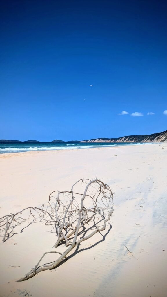 The Poney Tour Australie 2025 197