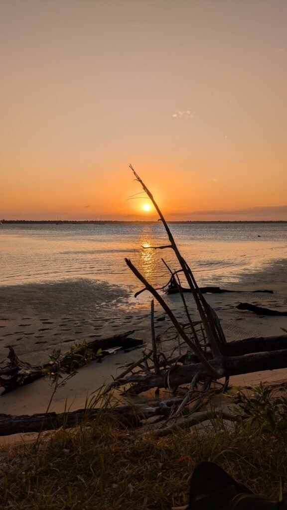 The Poney Tour Australie 2025 200