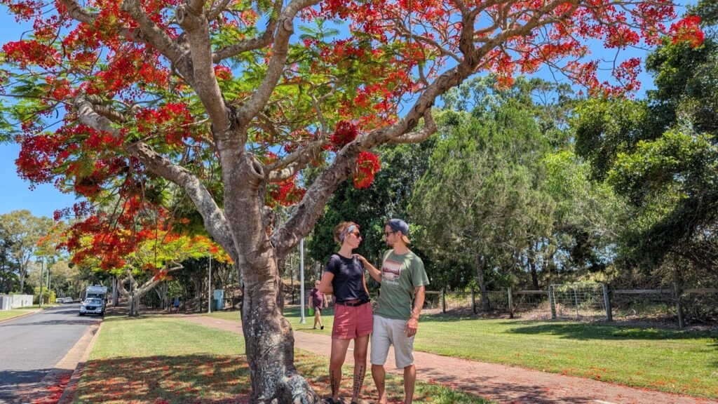 The Poney Tour Australie 2025 201