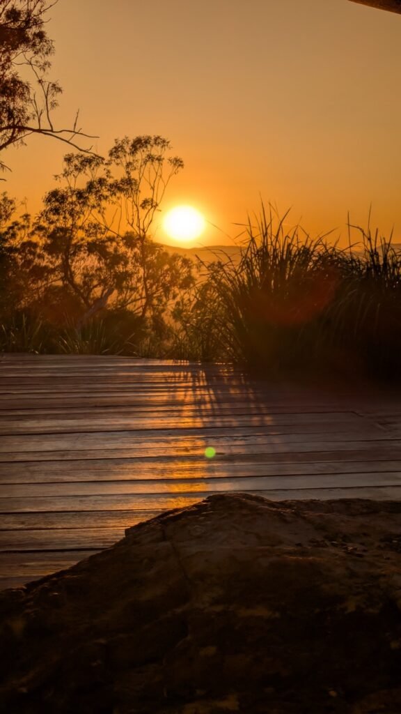 The Poney Tour Australie 2025 212