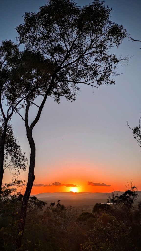 The Poney Tour Australie 2025 216