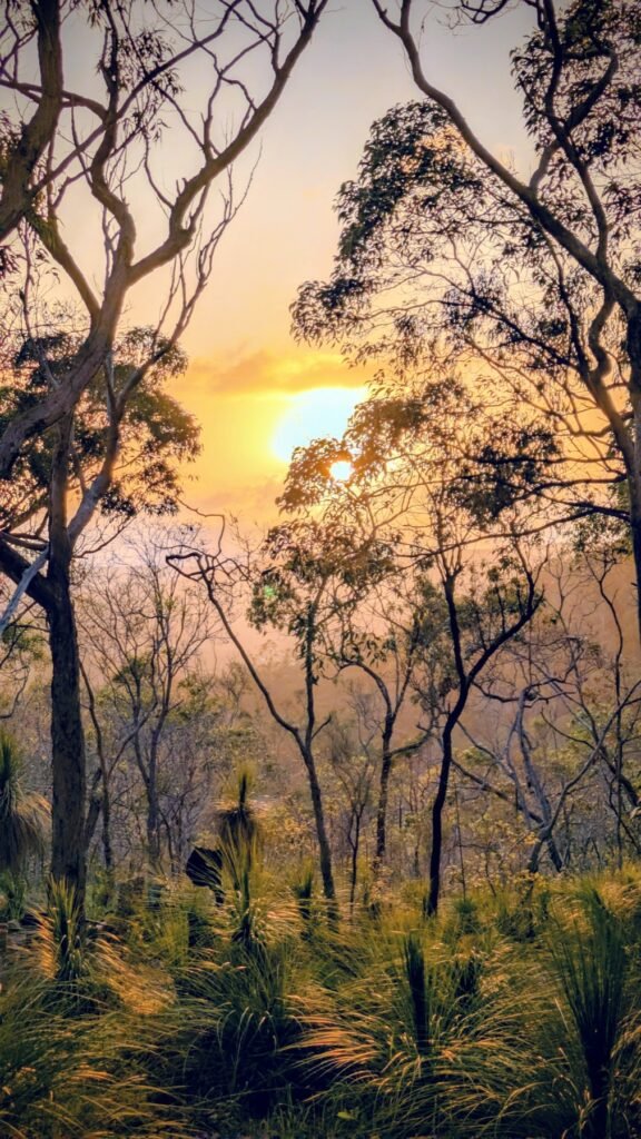 The Poney Tour Australie 2025 217