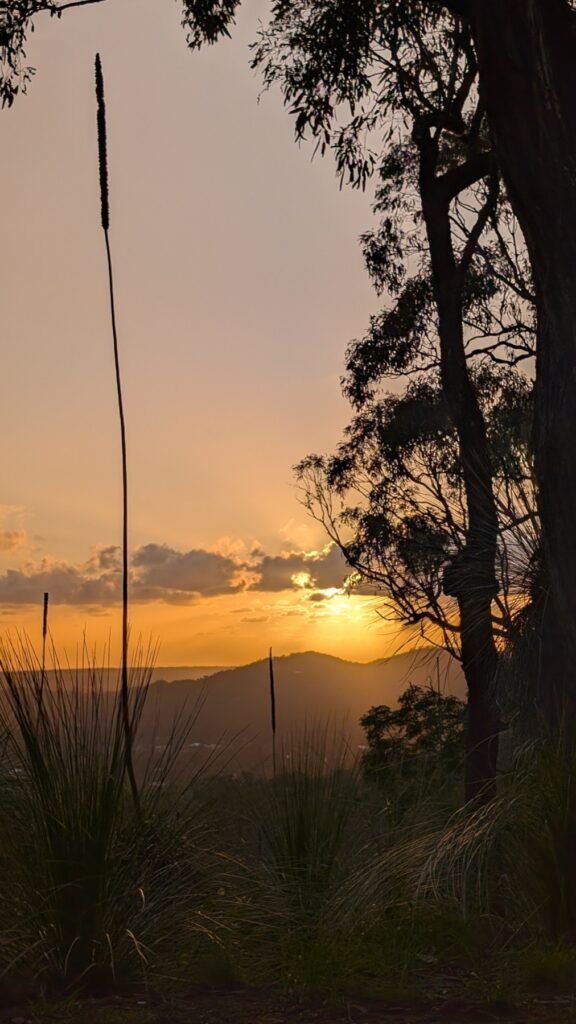 The Poney Tour Australie 2025 222