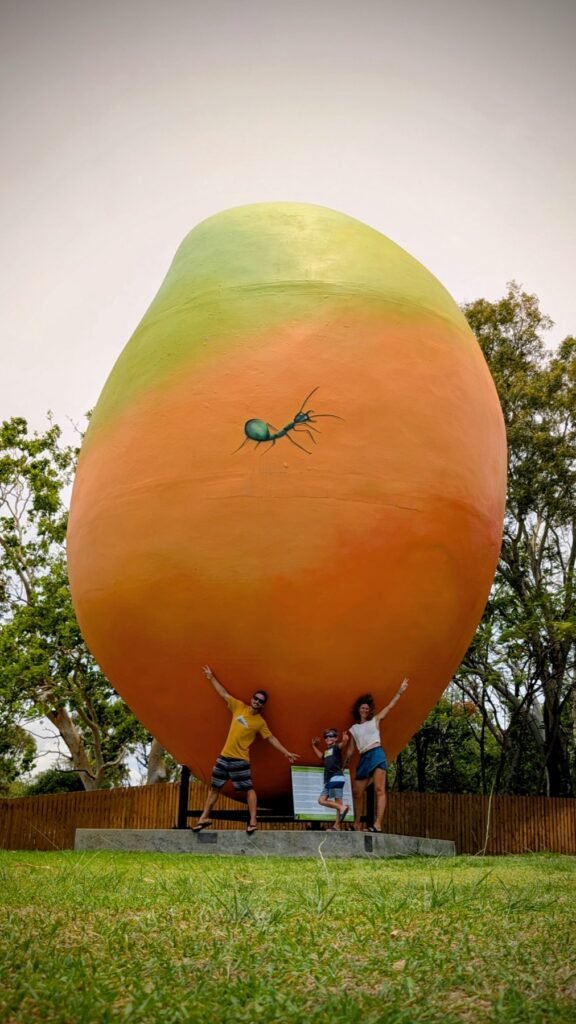 The Poney Tour Australie 2025 246