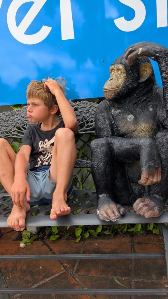 The Poney Tour Australie 2025 258