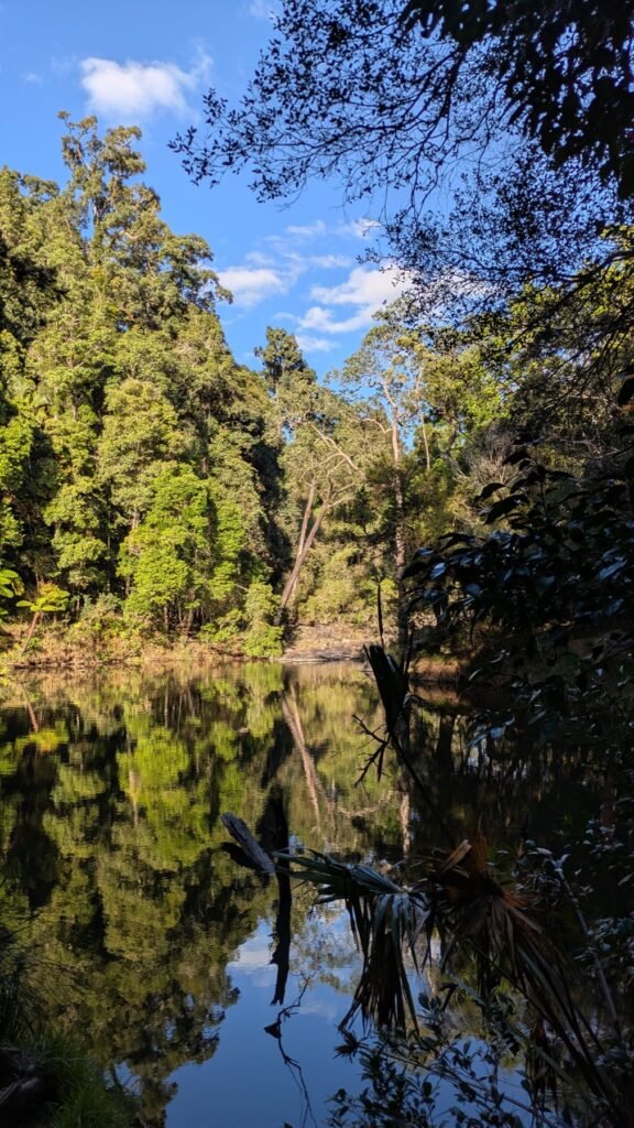 The Poney Tour Australie 2025 261