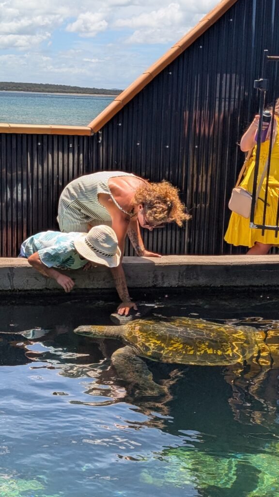 The Poney Tour Australie 2025 276