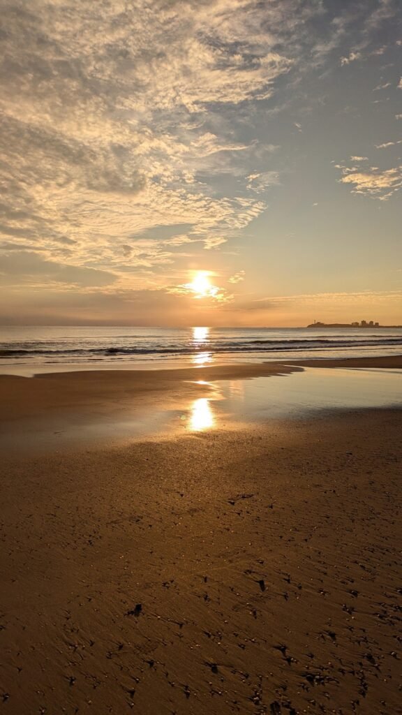 The Poney Tour Australie 2025 293