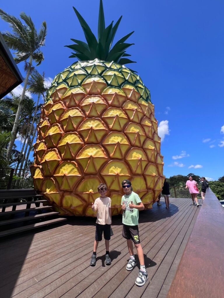 The Poney Tour Australie 2025 310